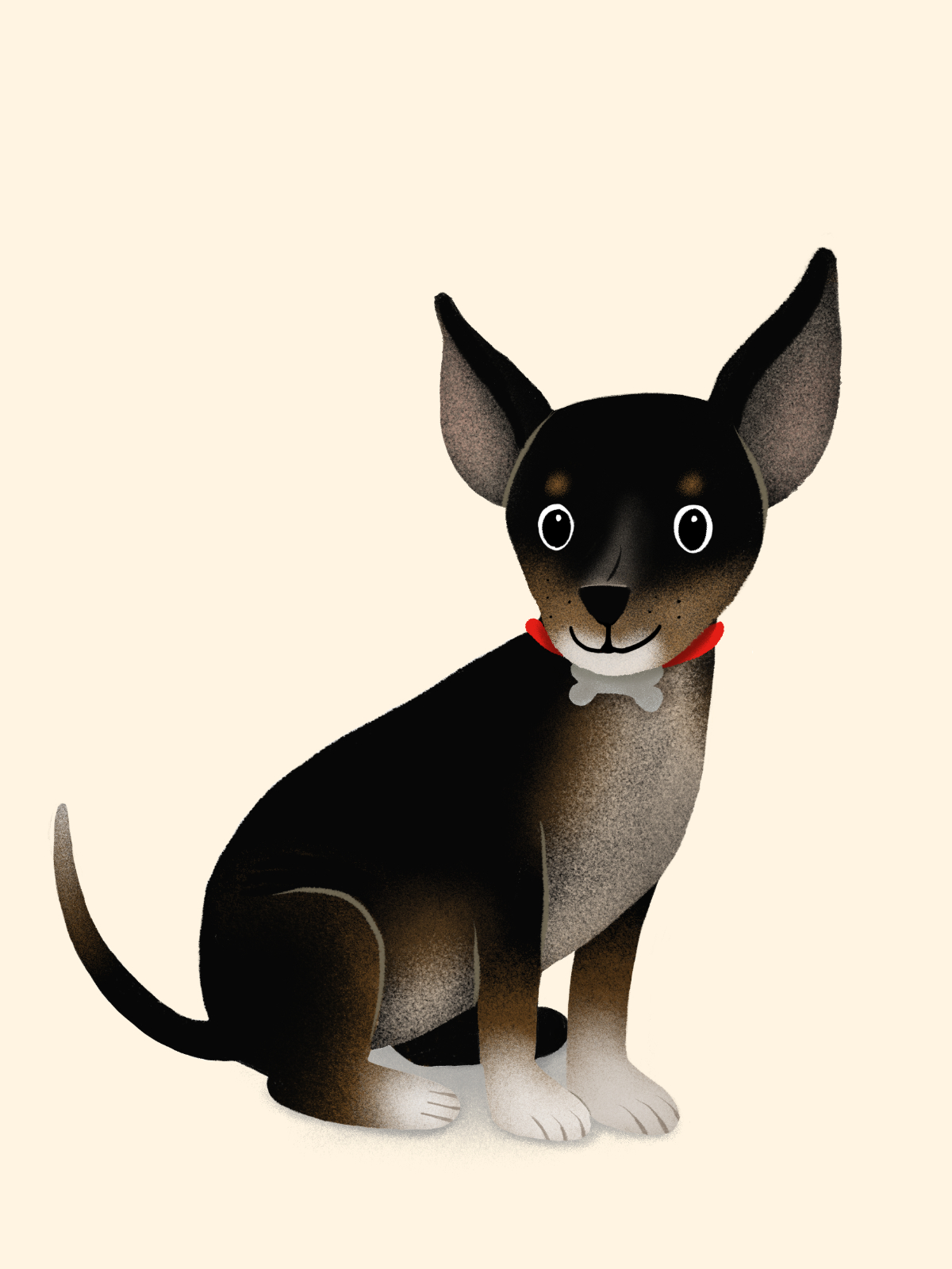 Ringo pet portrait illustration
