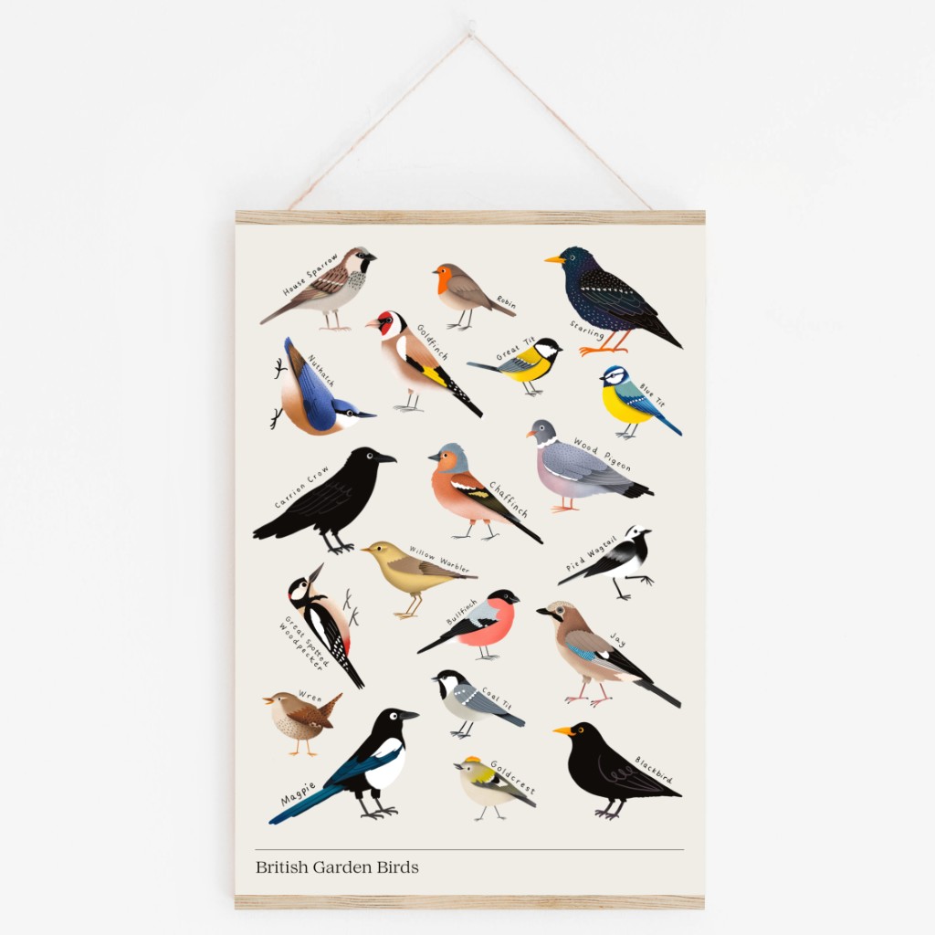Garden birds A4 art print in a portrait frame