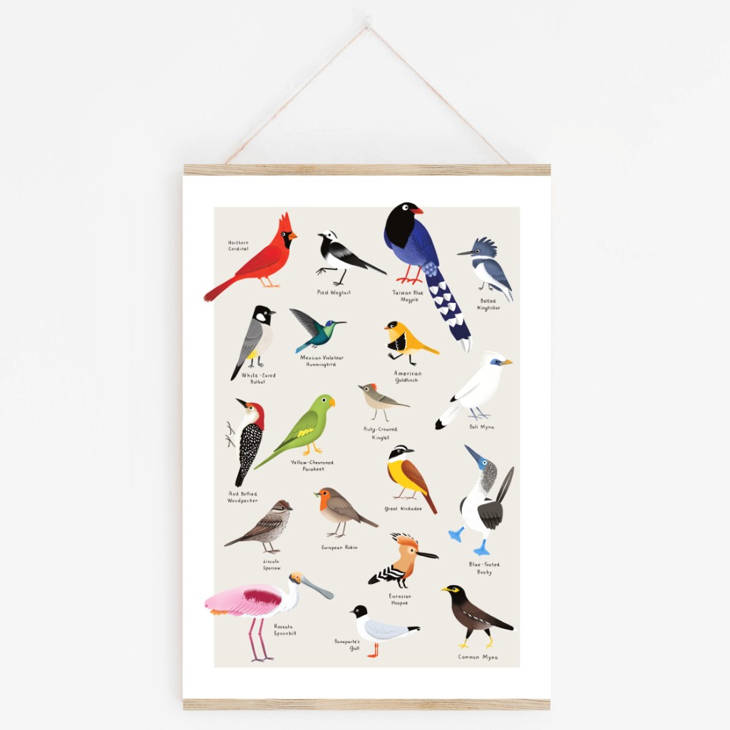World birds A4 art print in a portrait frame