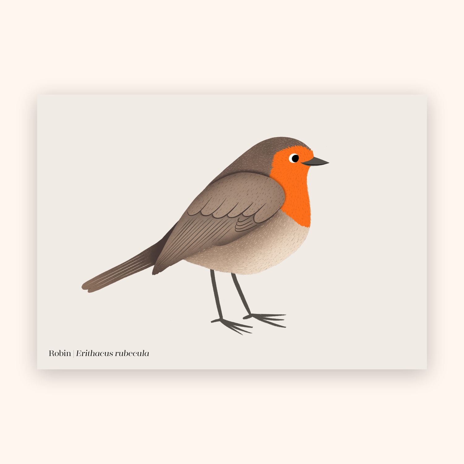 Robin A5 mini poster mockup