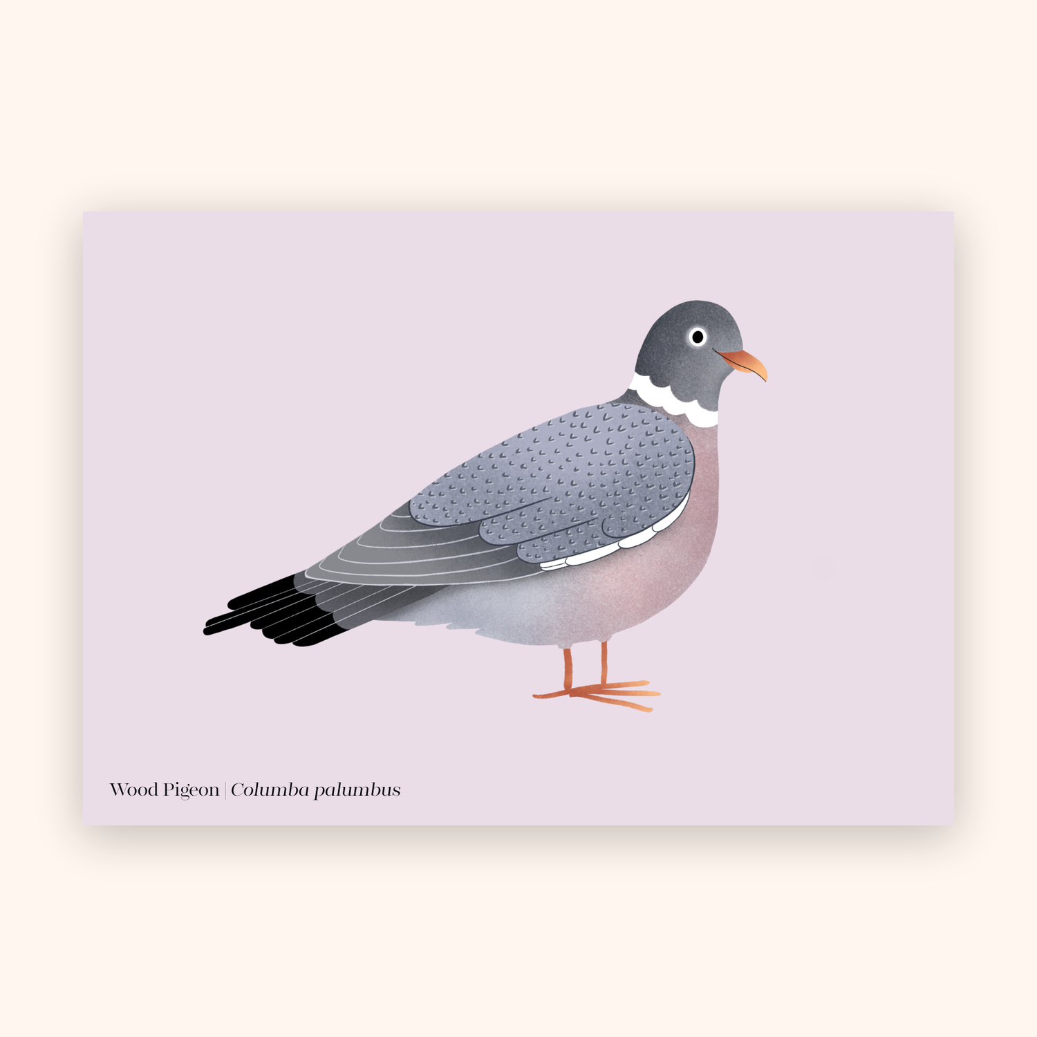 Pigeon A5 mini poster mockup