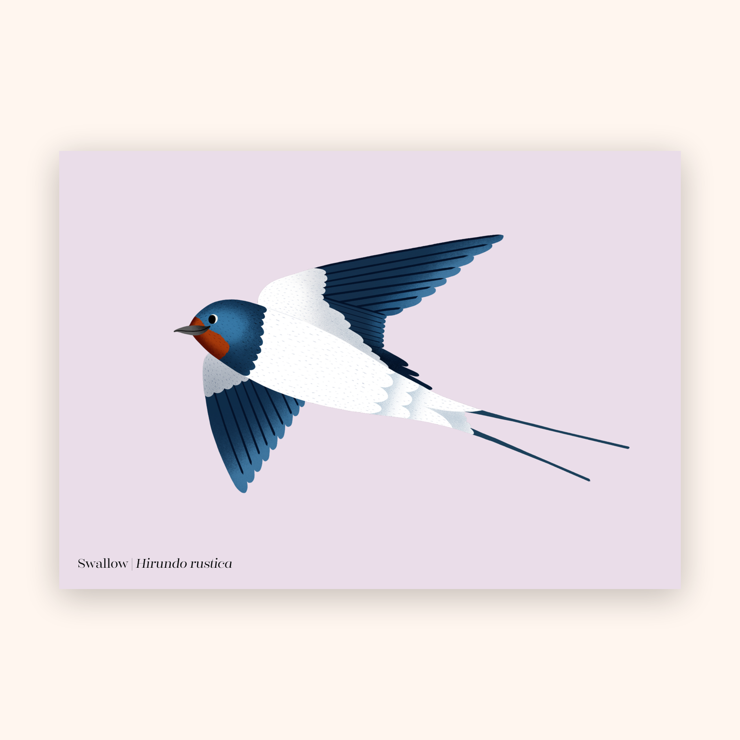 Swallow A5 mini poster mockup