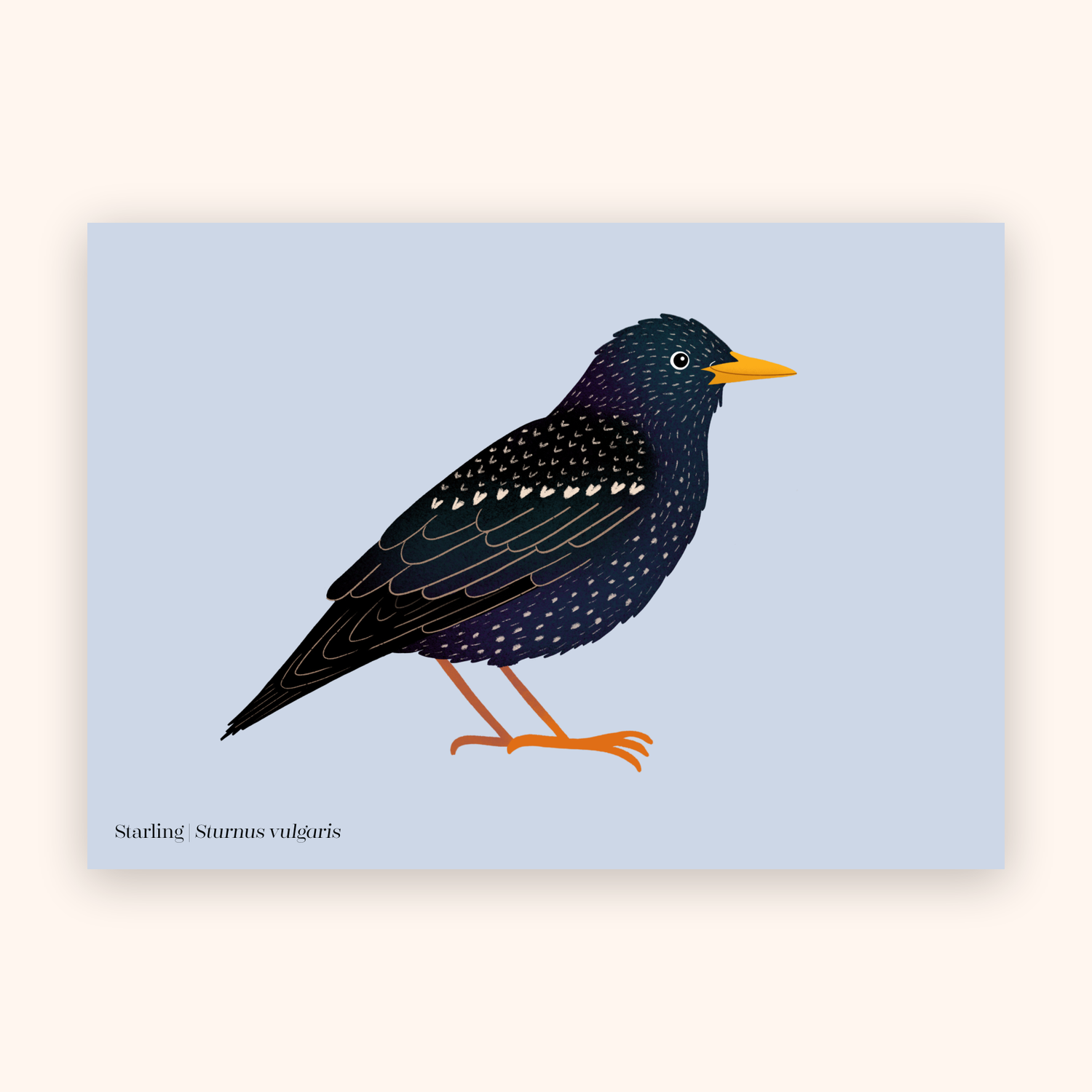 Starling A5 mini poster mockup