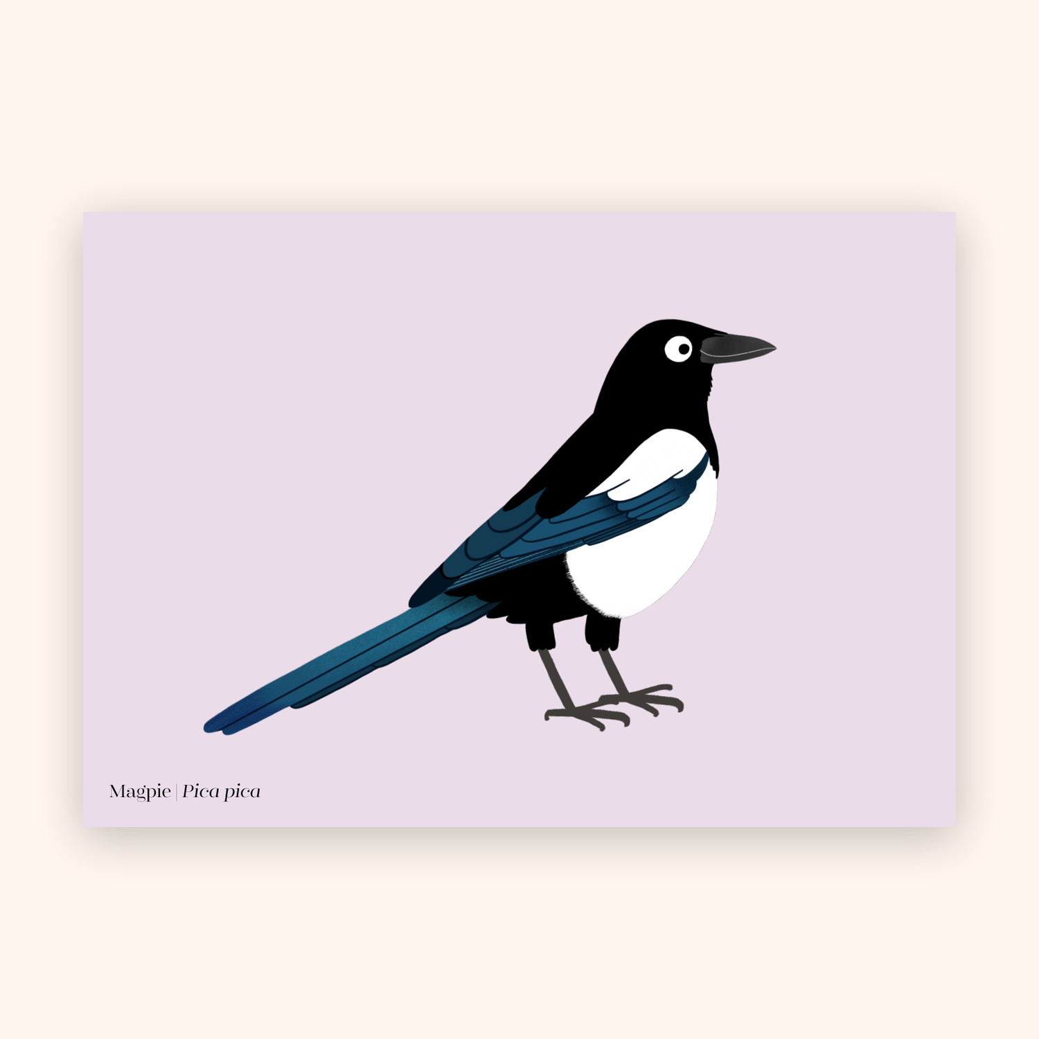 Magpie A5 mini poster mockup