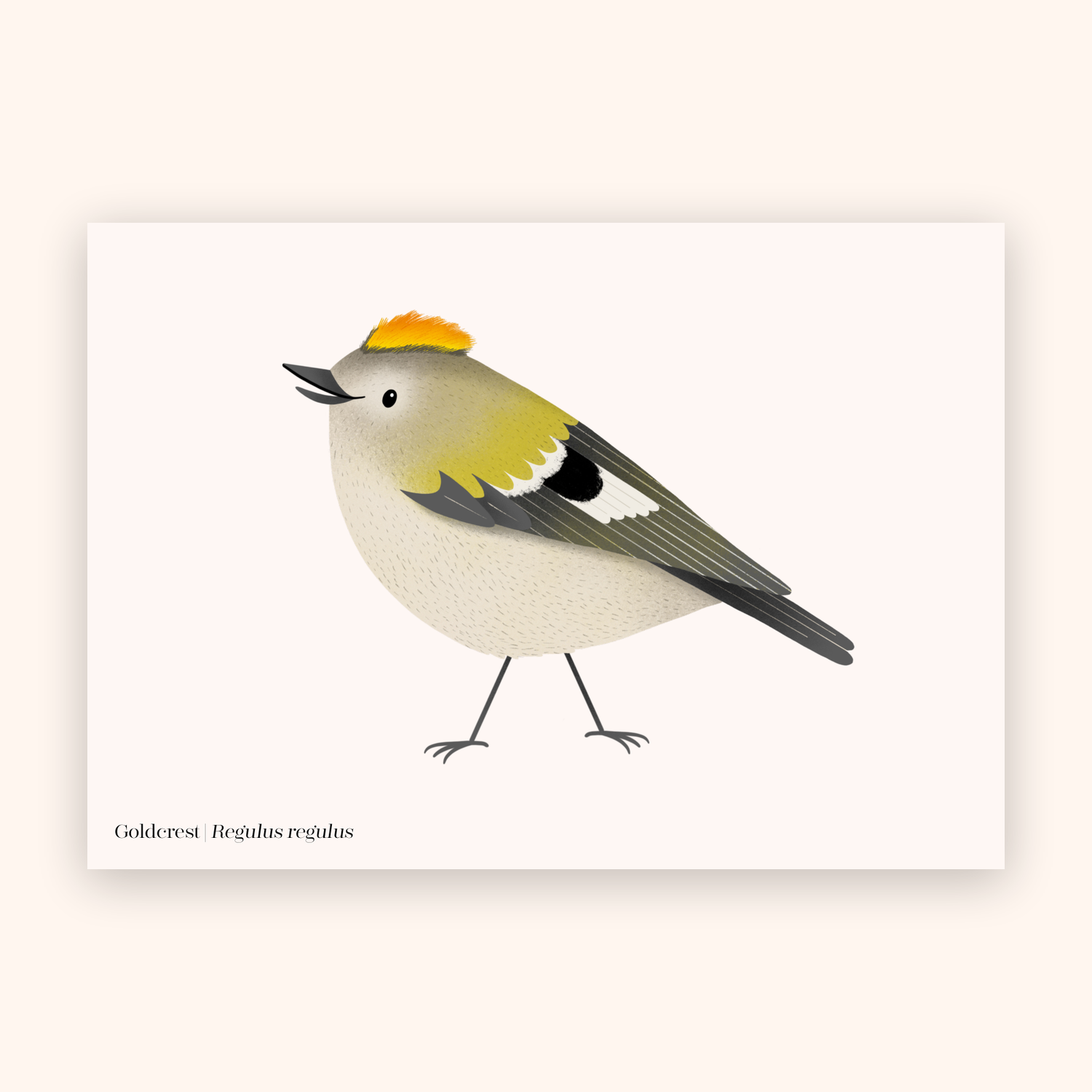 Goldcrest A5 mini poster mockup